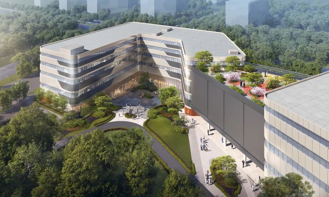 1650762322570007.jpg 1.jpg